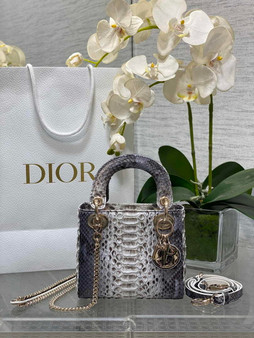 Mini Lady Dior Bag M0505 Gray Snake Leather
