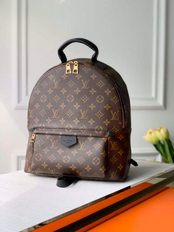 Louis Vuitton LV M44874 Palm Springs MM Monogram Canvas