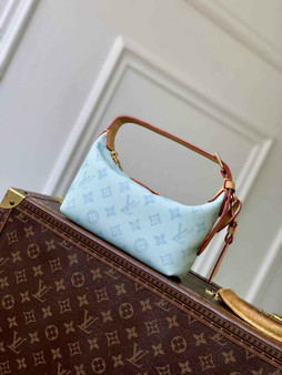 Louis Vuitton Hills Pochette Bag M28250