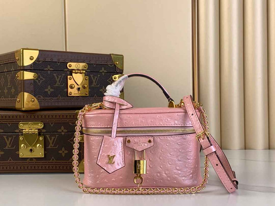 Louis Vuitton Vanity Chain Pouch N85820 Pink Ostrich leather - Default Title - View 1