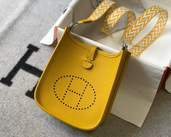 Hermès Evelyne 18 Togo Leather Shoulder Mini Bag Silver Yellow - Default Title - View 1