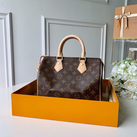 Louis Vuitton M41109 Speedy 25 Monogram Canvas