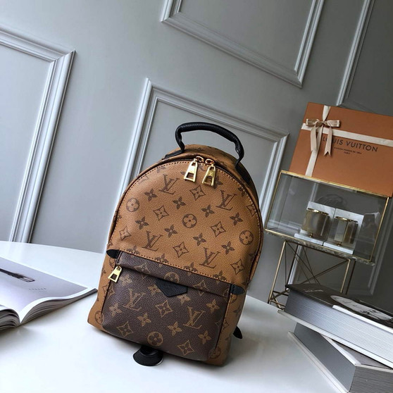 Louis Vuitton LV M41560 Palm Springs PM Monogram Canvas - 22 x 29 x 10 cm / Monogram Canvas - View 1