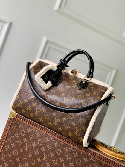 Louis Vuitton LV Ski Speedy Soft 30 Teddy Bag M26326