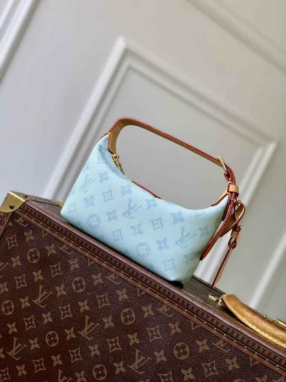 Louis Vuitton Hills Pochette Bag M28250