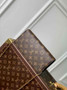 Louis Vuitton Wallet On Chain Lvy M82509 Monogram Canvas - Default Title - View 2