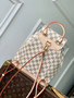 Louis Vuitton Montsouris PM Bag Damier Azur N00120