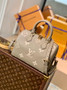 Louis Vuitton M58947 Speedy Bandoulière 25 Gray