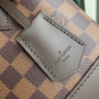 Louis Vuitton Braided Alma BB Bag N40447 Damier Ebene canvas