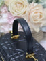 Dior Caro Small Vanity Case S5196 Black Cannage Lambskin