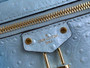 Louis Vuitton Vanity Chain Pouch N85806 Blue Ostrich leather
