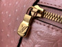 Louis Vuitton Vanity Chain Pouch N85820 Pink Ostrich leather