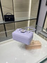 Chanel Long Vanity with Leather Strap AP5067, Calfskin Light Purple