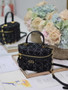 Dior Caro Small Vanity Case S5196 Black Dior Oblique Jacquard