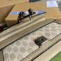 Gucci 499623 Dionysus GG small shoulder bag Beige and white GG Supreme