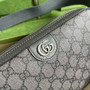 Gucci Ophidia GG crossbody bag 699439 in grey and black Supreme