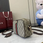 Gucci Ophidia small camera bag, 841310 in beige and brown GG fabric �?,physical,Gucci_841310,,product,999,0,800.00,0.00,0.00,168.00,,1,,<article><header></header>