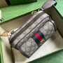 Gucci ophidia mini bag 746308 in brown