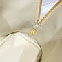 Hermes Bolide 1923 Bag 25 in Beige Epsom Calfskin Gold Hardware - Default Title - View 8