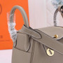 Hermes Lindy Mini Bag Light Gray Togo Leather Gold Hardware H8606 - Default Title - View 7