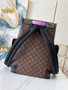 Louis Vuitton M46272 Christopher Backpack MM Monogram Canvas Purple - 38 x 44 x 21 cm / Purple - View 8