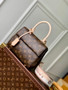 Louis Vuitton Cluny Mini Bag M46055