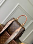 Louis Vuitton Cluny Mini Bag M46055