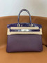 Hermès Birkin Bag Purple Crocodile Togo Gold Hardware H8604 - W25×H20×D13cm - View 1