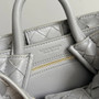 Bottega Veneta Small Andiamo Bag in 743568 Suede light gray