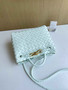 Bottega Veneta Small Andiamo Bag 743568 Lambskin Light Green