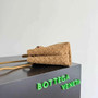 Bottega Veneta Small Andiamo Bag in 743568 Suede apricot