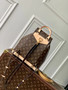 Louis Vuitton Montsouris PM Backpack M11198 LV Monogram