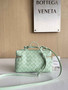 Bottega Veneta Bang Bang Vanity Case 789109 Light Green