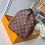 Louis Vuitton N41365 Speedy 25 Damier Ebene canvas