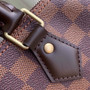 Louis Vuitton N41365 Speedy 25 Damier Ebene canvas