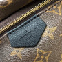 Louis Vuitton LV M41560 Palm Springs PM Monogram Canvas - 22 x 29 x 10 cm / Monogram Canvas - View 5