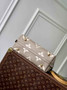 Louis Vuitton CarryAll PM Bag M47180 Gray Leather - Default Title - View 4