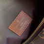 Louis Vuitton M46311 Loop Hobo Monogram