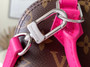 Louis Vuitton Nano Alma Monogram M83206 Pink