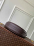 Louis Vuitton Loop Hobo Bag M14042 Coffee Monogram Leather