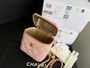 Chanel AP1447 small Vanity with chain lambskin Pink