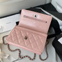 Chanel AP3645 Wallet on chain Shiny Crumpled Calfskin Strass Metal Pink