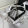 Chanel Clutch with Chain AP3974 Lambskin Gray
