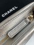 CHANEL Silver Metallic Quilted Chain Clutch - AP4613 - Default Title - View 5