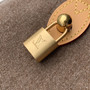 Louis Vuitton Speedy 30 Bandoulière, M29170 Coffee Bean Brown Denim