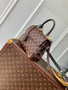 Louis Vuitton Cluny Mini Bag N00097 Brown