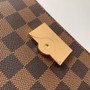 Louis Vuitton Cluny Mini Bag N00097 Brown