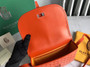 Goyard Belvedere PM Bag GY020198 Orange