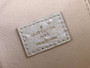 Louis Vuitton Vanity Chain Pouch N85911 Beige Ostrich leather - Default Title - View 9
