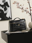 Chanel Large Vanity with chain, AP5347 Crocodile Black